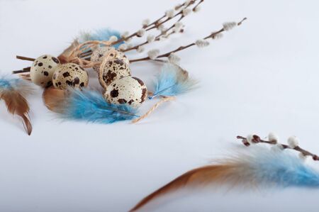 Easter quail eggs on white backgroundの写真素材