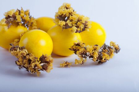 Easter eggs with flowers on a white backgroundの写真素材