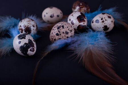 Easter quail eggs on a black backgroundの写真素材