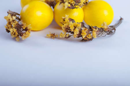 Easter eggs with flowers on a white backgroundの写真素材