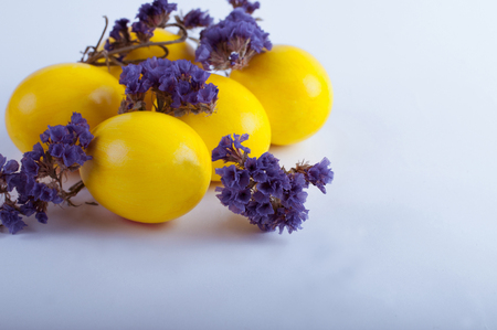 Easter eggs with flowers on a white backgroundの写真素材
