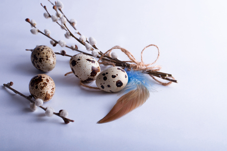 Easter quail eggs on white backgroundの写真素材