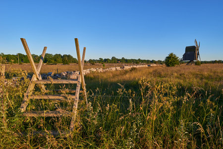 Alvar limestone moor with fence and old windmill in sunset at Isle if Oeland, province Kalmar, Swedenの写真素材