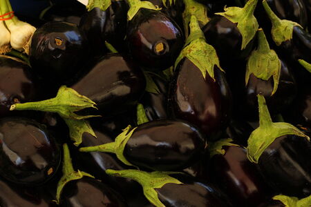 Eggplantの写真素材