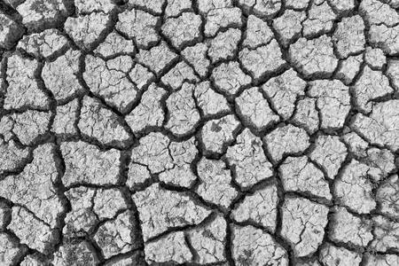 Dry cracked clay texture earth backgroundの写真素材