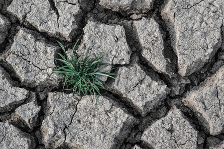 Dry cracked clay texture earth backgroundの写真素材