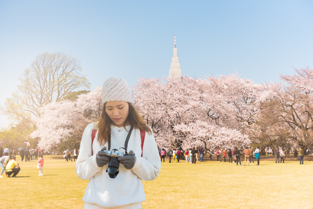 Young woman traveler  photo by camera with sakura tree on vacation in japan.の写真素材