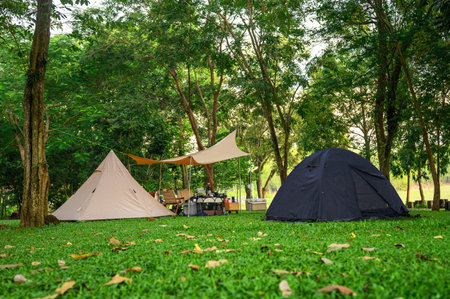 Group of camping tents diverse types of tourism in the natural green yard and tree around is shady feels. Summer camping, Tourism with nature, Healthy freedom lifestyle and mental recreation.の写真素材