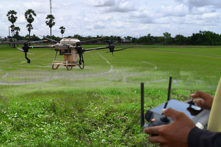 Agriculture Technology Drone Fly to Spray Fertilizer on Rice Fields, Modern Farming Techniques and...