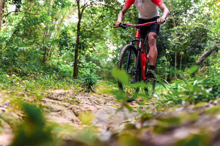 Extreme Mountain Biking, Cyclist ride on MTB trails in the Green Forest with Mountain Bike, Outdoor...