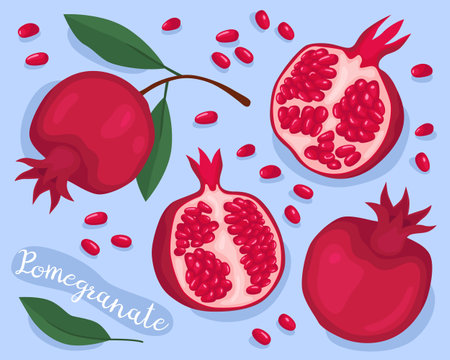 Pomegranate. Collection of red pomegranate fruits, whole, half, slices and seeds. Summer fruit. Healthy and organic food. Pomegranate juice. Cooking ingredien, antioxidant.のイラスト素材