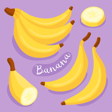 Banana, banana slice. Tropical fruit. Half, piece and whole of yellow bananas. Fresh, sweet, ripe tropical fruits.のイラスト素材