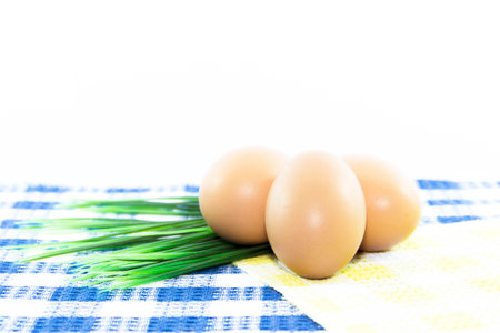 Eggs on green blue and yellow on white background