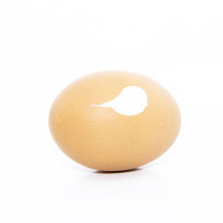Boiled organic egg skin layers on white background
