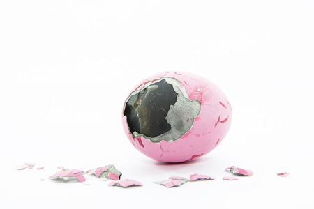 Duck's egg preserved skin  layer with pieces of eggshell on white backgroundの写真素材