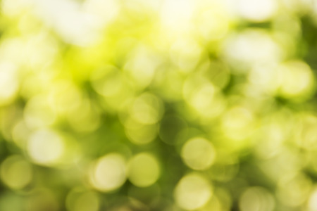 Green and yellow circle bokeh backgroundの写真素材