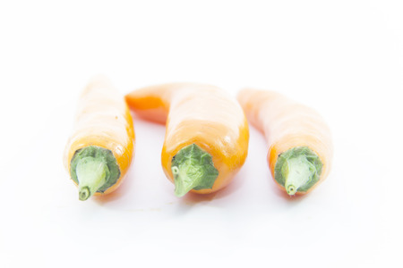 Orange chili pepper arrange straight line on white backgroundの写真素材