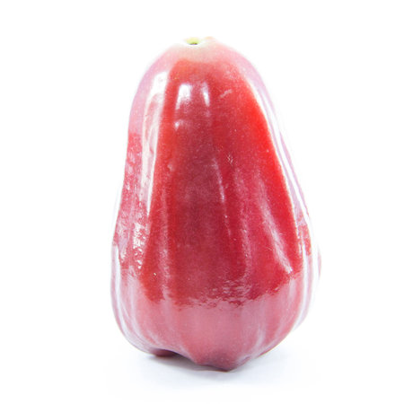 Fresh rose apple natural fruit on white backgroundの写真素材