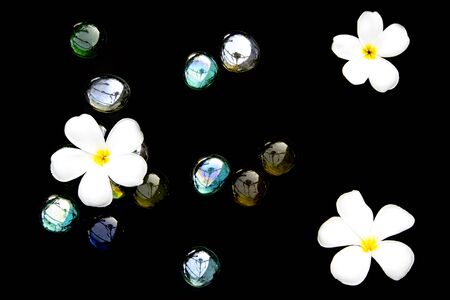 Plumeria flower top view with artificial stone on black backgroundの写真素材