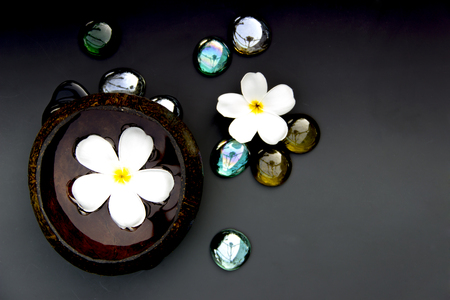 Spa Plumeria flower water in coconut shell on black backgroundの写真素材