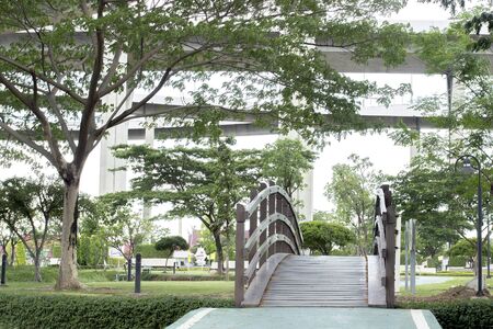 Walk way and bridge in green park under concrete bridgeの写真素材