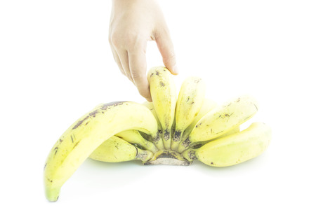 Over ripened bananas nature color skin with hand pick on white backgroundの写真素材