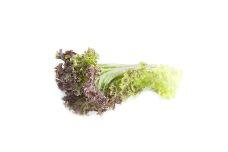 Orgarnic red green vegetable salad top view on white backgroundの写真素材