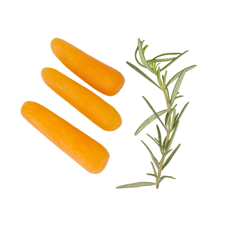 Green rosemary leaves and baby carrots  ingredient top view on white backgroundの写真素材