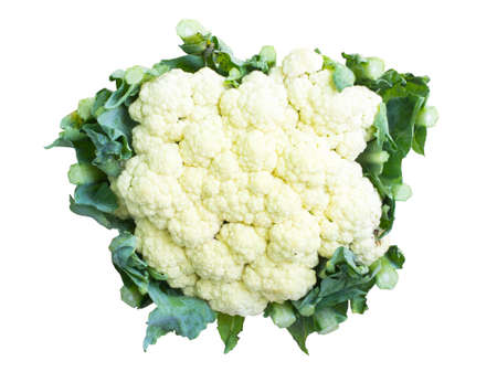 Cauliflower with leaves ingredient on top view and white backgroundの写真素材