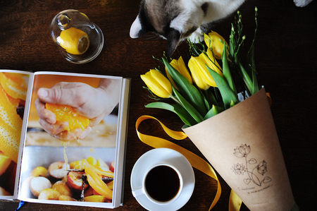 Cup of black coffee and a bouquet of yellow tulips in kraft paper on the table. Book with bright pictures. Cute cat. Top viewの写真素材