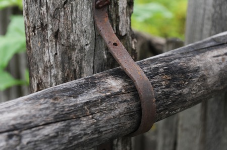 Barbed wire on a wooden fence. Closeup, summer green backgroundの写真素材