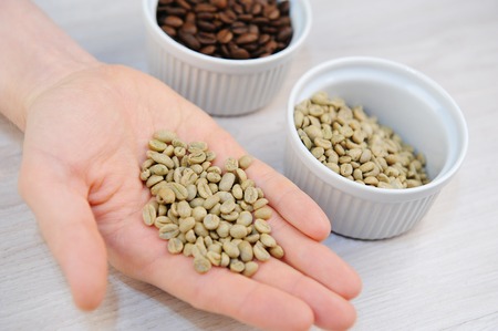 Roasted and unroasted coffee in bowls. Green coffee beans on the palm closeupの写真素材