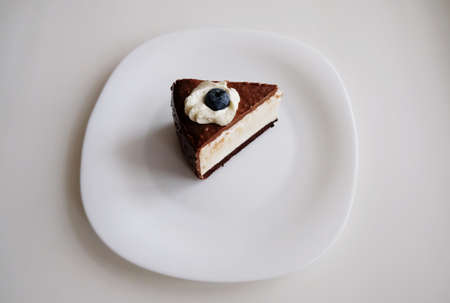 Slice of Pigeon's milk cake on white plate. Chocolate, blueberry, cream garnish