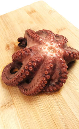 Whole raw octopus on a wooden cutting board, close-upの写真素材