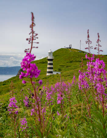 Landscape. a beautiful lighthouse building on a large cape with a flowery meadowの写真素材