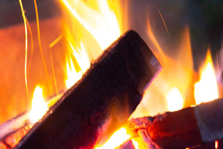 burning wood charcoal in the oven