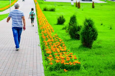people walks on a summer dayの写真素材