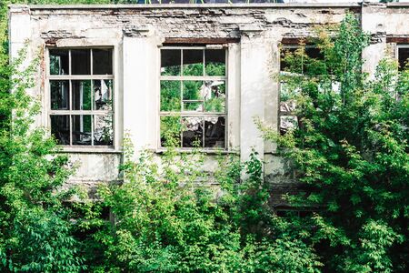 ruins of the former industrial enterprise