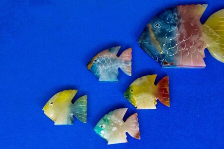 colored fishの写真素材