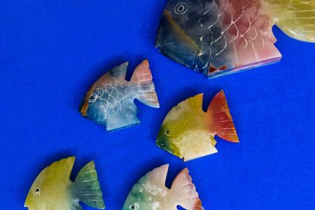 colored fishの写真素材
