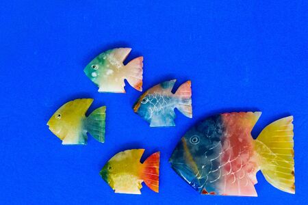 colored fishの写真素材
