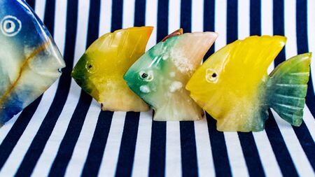 colored fishの写真素材