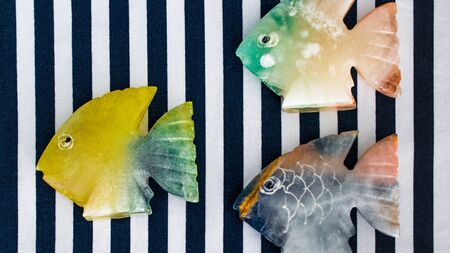 colored fishの写真素材