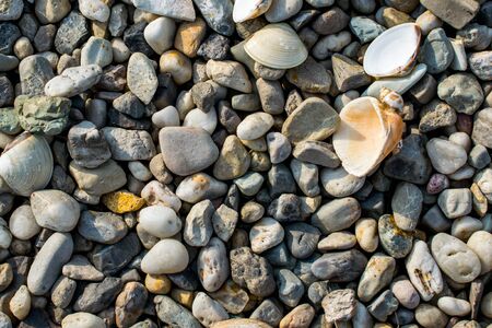 beach with pebblesの写真素材