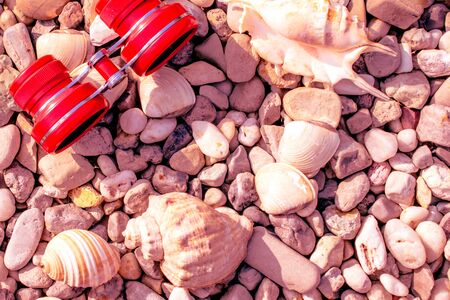 binoculars red or pink on a pebble beach with shellsの写真素材