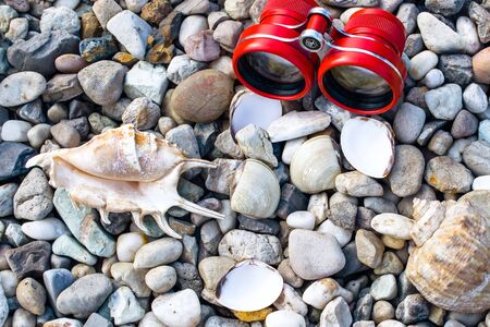 binoculars red or pink on a pebble beach with shells