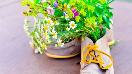 bouquet of wild flowers with a predominance of chamomile in shoesの写真素材