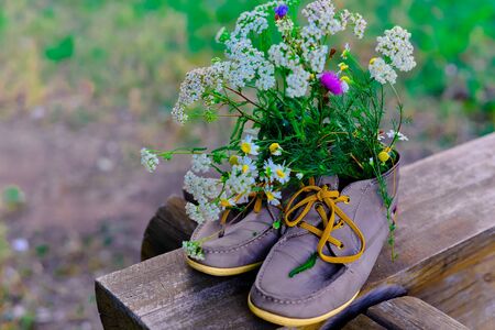bouquet of wild flowers with a predominance of chamomile in shoesの写真素材