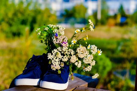 bouquet of wild flowers with a predominance of chamomile in shoesの写真素材