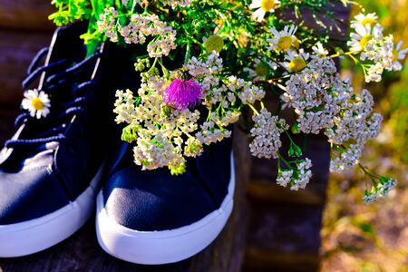 bouquet of wild flowers with a predominance of chamomile in shoesの写真素材